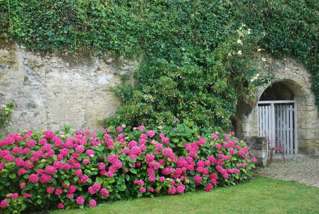 Le Pavillon De La Lanterne Villa Rochecorbon Bagian luar foto